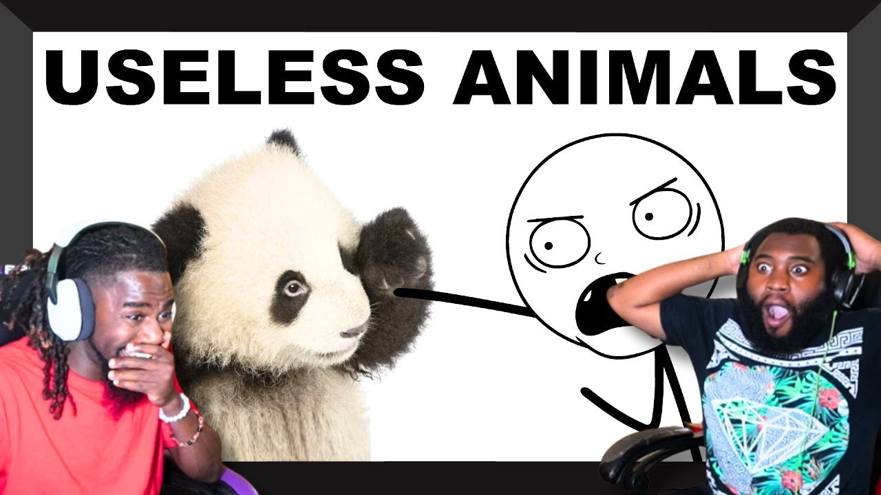 Этот человек — мерзкий тип! | 7 животных, которые должны исчезнуть | Реакция SmokeCounty JK