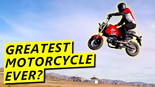 So You Want a Honda Grom...
