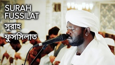 Surah Fussilat | سورة الفصلت সুরাহ ফুসসিলাত | Sheikh Noorin Mohammed Siddique | শেইখ নুরিন মোহাম্মাদ