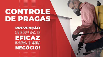 Qual a diferença entre dedetização e controle de pragas?