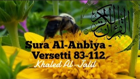 سورة الأنبياء - الآية [83 - 112]خالد الجليل / تلاوات خاشعة#The_Holy_Qur'an