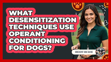 What Desensitization Techniques Use Operant Conditioning For Dogs? - Obedient Dog Guide