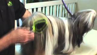 Furminator 3 step grooming Revised_It by FURminator 816 views 12 years ago 1 minute, 14 seconds