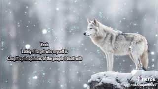 Hopeless by connor price lyrics 