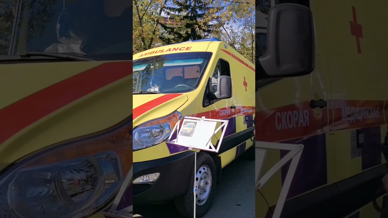 День открытых дверей в полиции СКО 