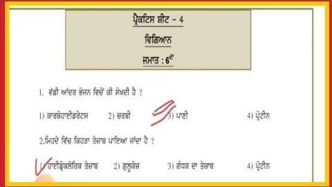 pseb class - 6 science competency based test worksheet - 4 solved 2024