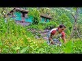 RURAL LIFE IN SIKKIM, INDIA ... Part - 10