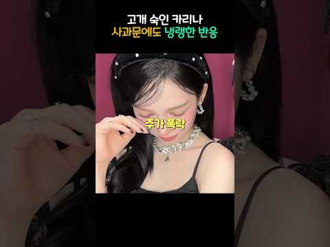 고개숙인 카리나 사과문에도 냉랭한 반응