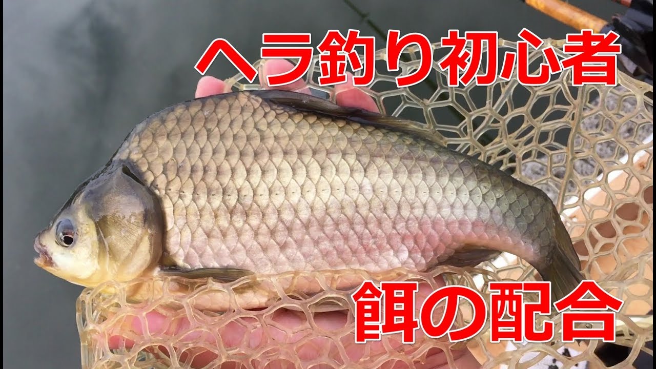 へら釣り ヘラブナ釣り初心者の練り餌配合 群馬の水郷編 Youtube