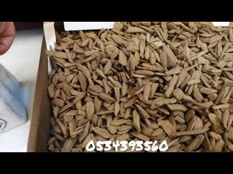 دقة مروكي أصقون طبيعي سوبر