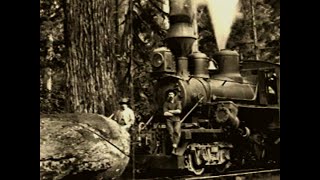 The American Hobo History of the Railriding Worker