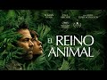 El reino animal  triler oficial internacional en espaol  youplanet pictures