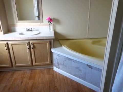3041 Moss Hill St, Wesley Chapel, FL home video tour