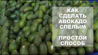 Как сделать авокадо спелым. Простой способ