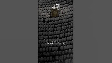 م تيسر من سوره [ المائده  :  ٧٣] القارئ #عبدالبدالله_القرني#quran #اكسبلور #ياسر_الدوسري