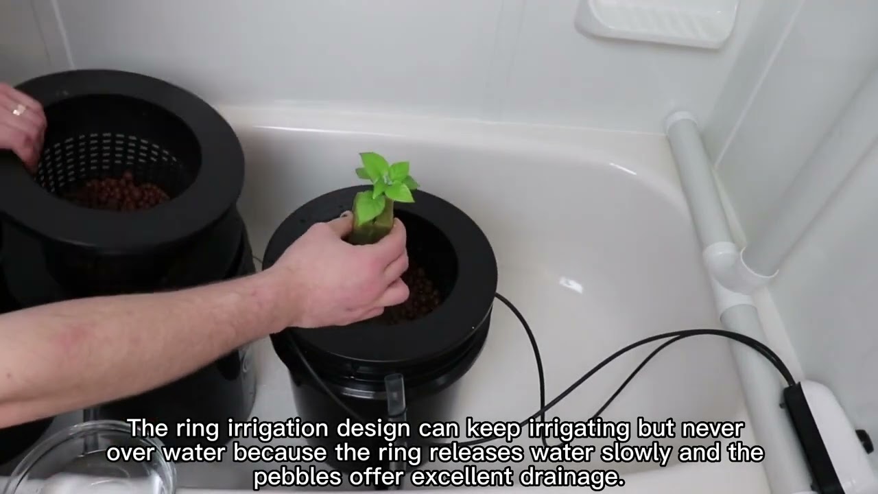 5 Gallon DWC Hydroponics Growing System