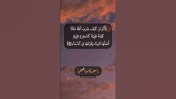 سورة ابراهيم الآية ٢٣ الى ٢٥ بصوت الشيخ محمد صديق المنشاوي