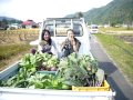 九州産地直送居酒屋さくら～野菜を運ぶ～