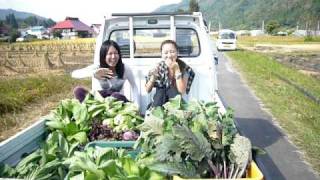 九州産地直送居酒屋さくら～野菜を運ぶ～