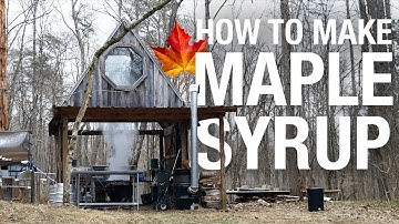 Where does maple syrup come from?