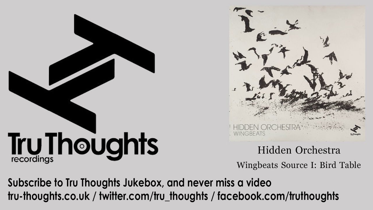 Watch Hidden Orchestra - Wingbeats Source I: Bird Table on YouTube Watch Hidden Orchestra - Wingbeats Source I: Bird Table on YouTube