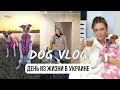 DOG VLOG: Жизнь в Харькове | Тревоги | Наша Рутина | Ремонт Квартиры | Лечение Собак | Учеба