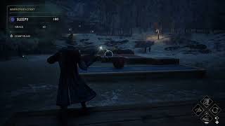 Hogwarts Legacy (PS5) Summoner's Court round 3 - Grace Pinch-Smedley (6/23/26)