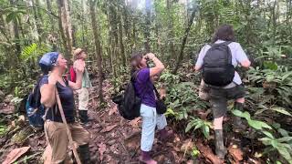 sendero ecologico turistico cascada horno yaco putumayo