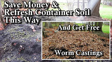 A Basic Winter Container Soil Refresh that Brings In Free Worm Castings: Just Add Leaves & Pile It!