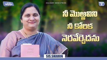 November 14th 2025,Today