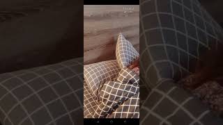 Bling Bling Live Barbar