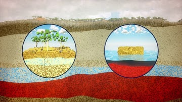 Dams and catchments | Water Supply | Water Corporation