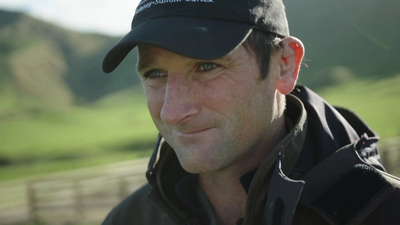 online banking deutsche bank ANZ Insights: Red Meat