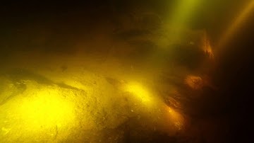 Solarstorm 4 x xml-u2 vs 7x xpg-r5 vs hid