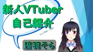 「【新人VTuber】碧羽そら【自己紹介】概要欄に追記あり」のサムネイル