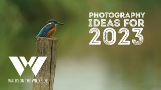 Ideas for your nature and wildlife photography in 2023