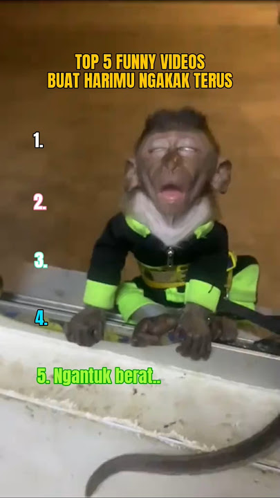 Top 5 Funny Videos, ngantuk berat.. P006 🫩😂