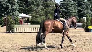 Toast - State College 5