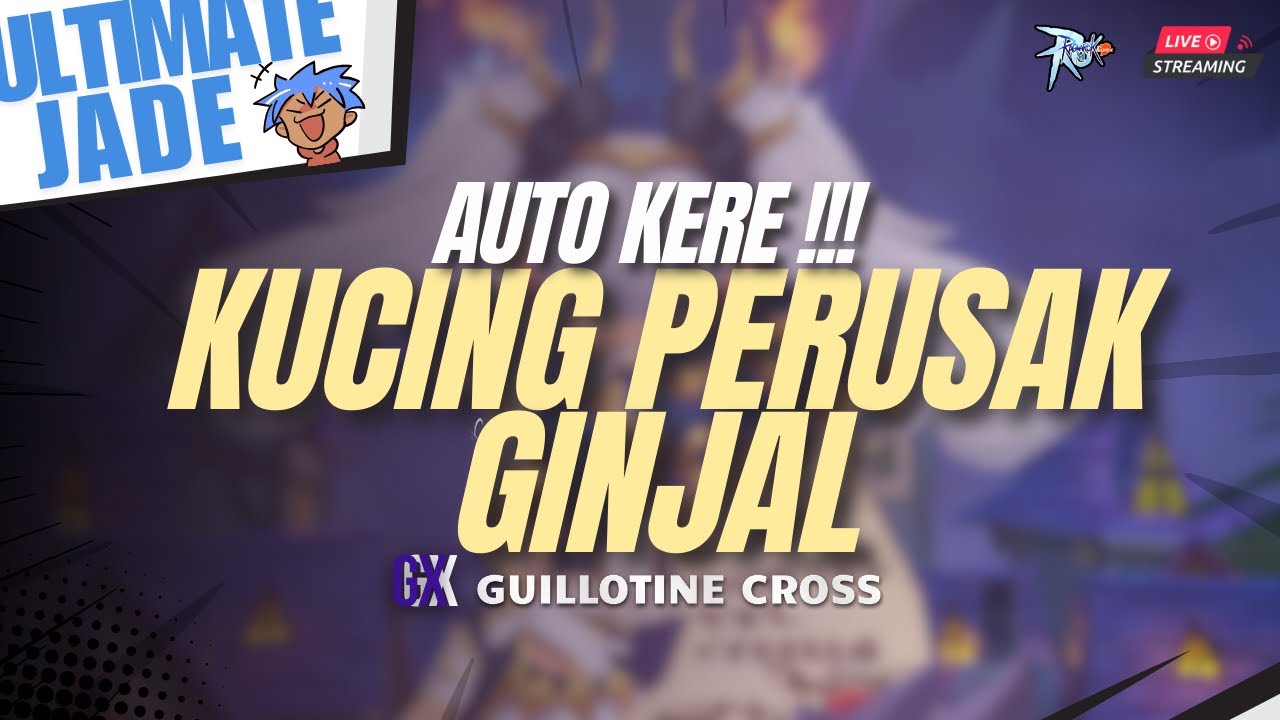 DAPET JUGA NI KUCING PERUSAK GINJAL #ragnarokmclassic #assassin #gx ...