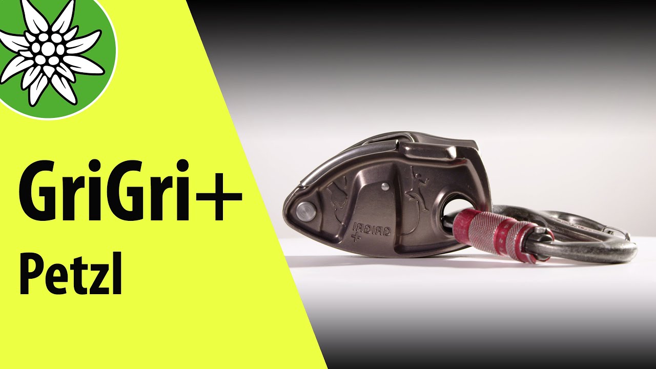 How to properly belay with the Grigri 2 and Grigri+ from Petzl - Lacrux  climbing magazine