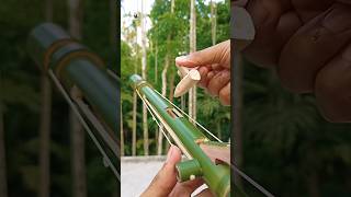 Bamboo make slingshots #inventor