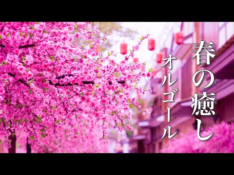 春の癒しオルゴール【リラックスBGM】心やすらぐ、あたたかな音楽♪