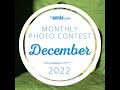 December 2022 - ByAnnie Photo Contest