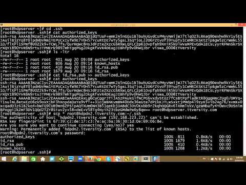 Virtual Machines - HDP - Setup SSH on all the nodes