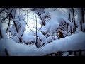 Alobar - First Snow (2006 - Ambient Videoclip)