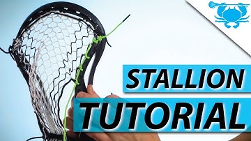 The Perfect Stallion Omega Mid Pocket | Hero3.0 Tutorial