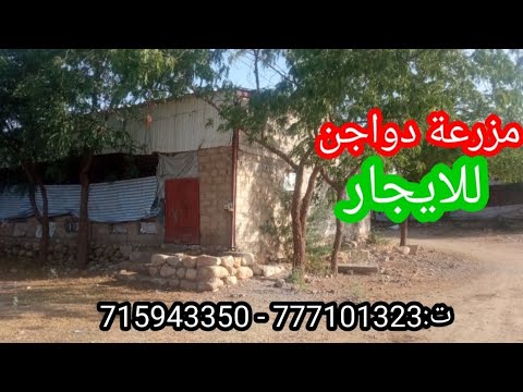مزرعة دواجن للايجار اليمن الحديدة
