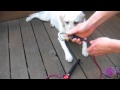 Ruffwear Knot-A-Leash