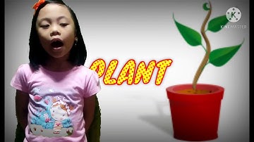 Performance Tasks in Science 1 (Plants)