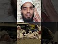 Hajj Ka Main Din Kaunsa Hai? 😢| Complete Hajj Routine | Hajj Step by Step Guide 2026 #shorts#hajj